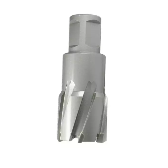 ALFRA Reijäjyrsin HM Ø 20 L=35/75 mm - Poistotuotteet - 138231 - 1