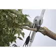 MILWAUKEE Teleskooppileikkuri ja oksasaha - Milwaukee Puutarha - 138499 - 6